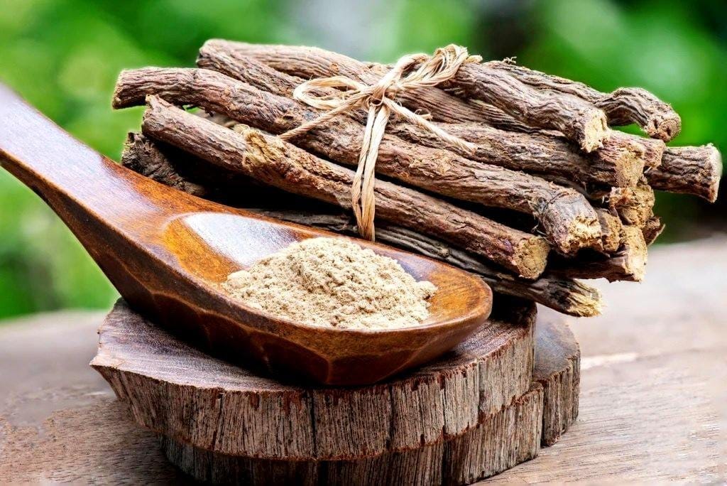 glycyrrhiza-glabra-licorice-root-extract